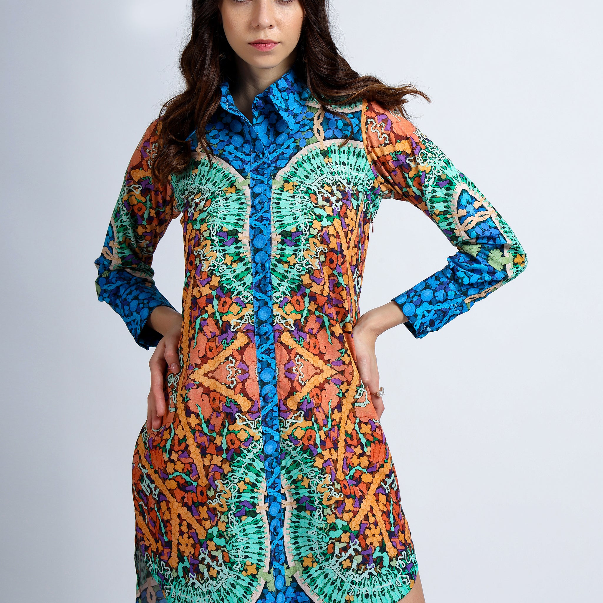 Secret Bearer Shirt Dress